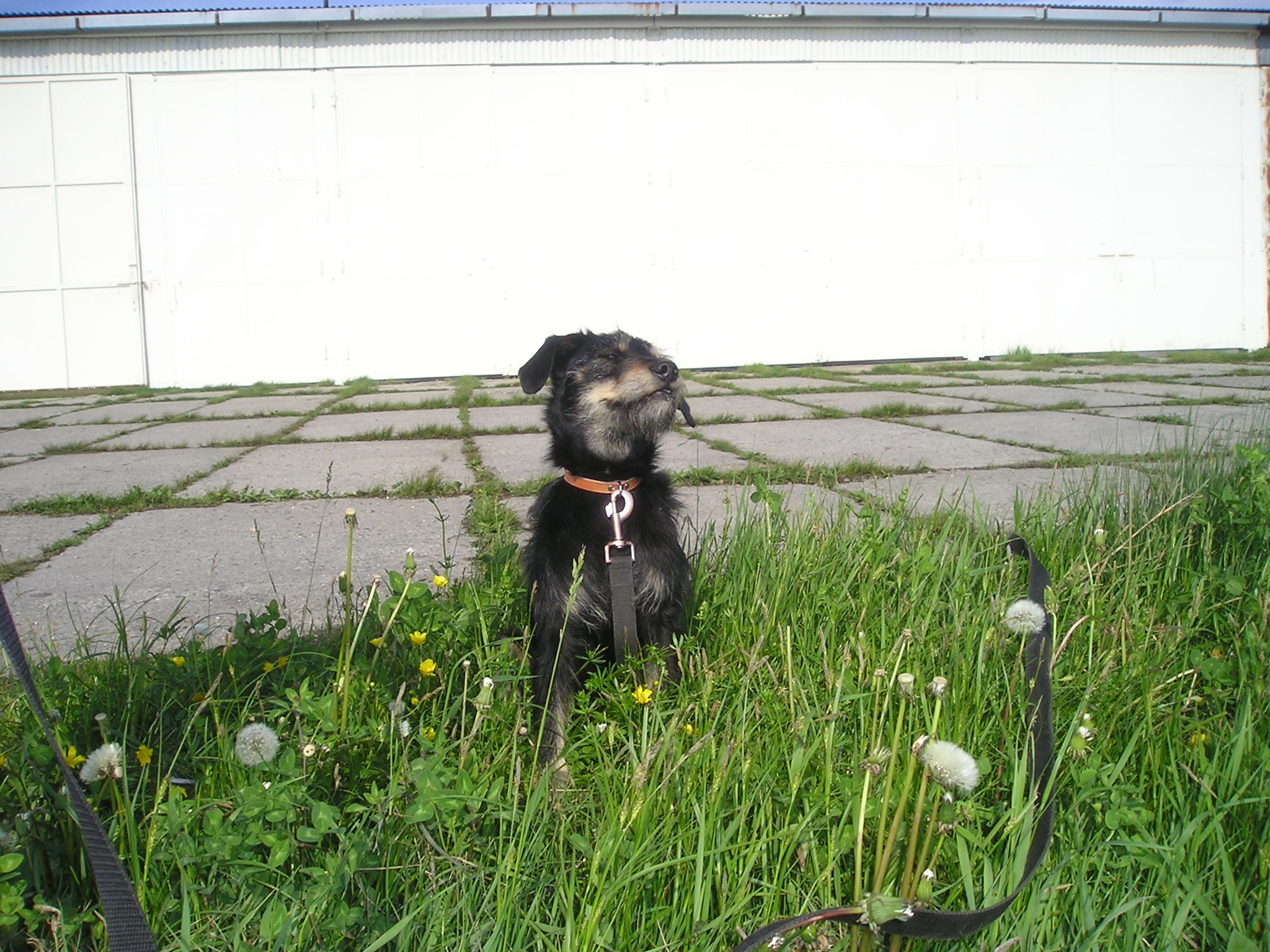 P1010005.JPG