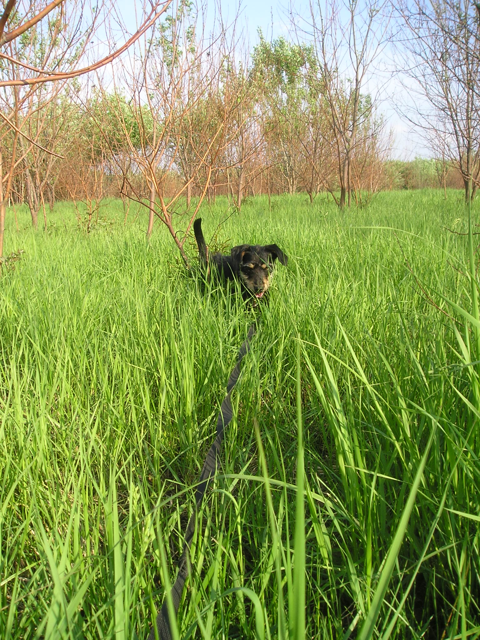 P1010017.JPG