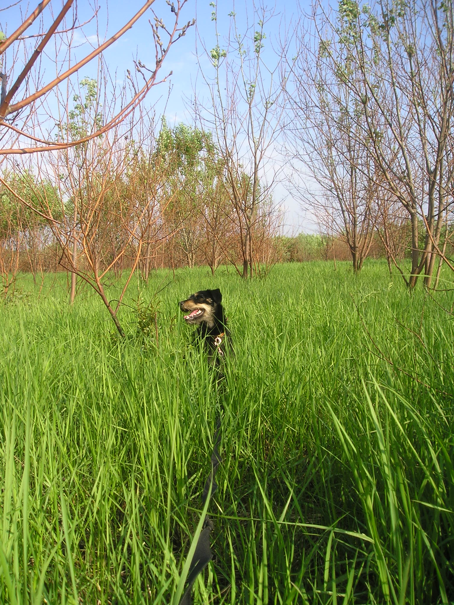 P1010021.JPG